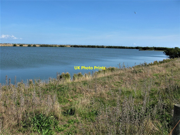 Photo 6"x4" Small Lake, Dungeness National Nature Reserve Lydd c2018