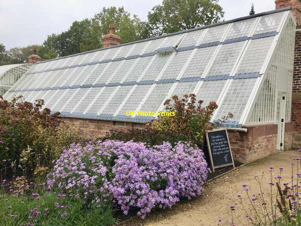 Photo 6"x4" Greenhouse, Quarry Bank Mill Styal c2018