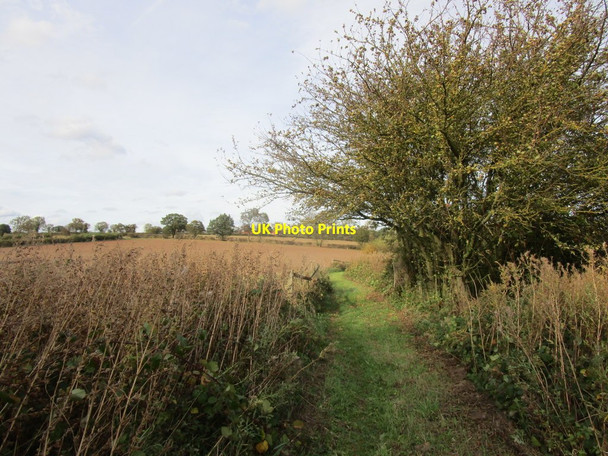 Photo 6"x4" Bridleway to Laxton Common Ompton c2018