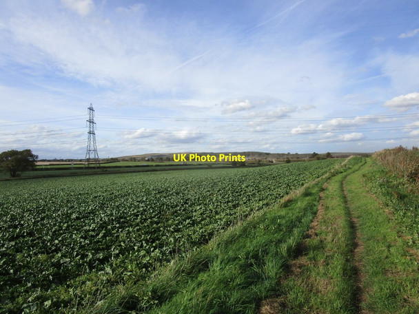 Photo 6"x4" Bridleway to Ollerton Ollerton\/SK6567 c2018