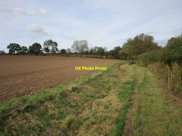 Photo 6"x4" Bridleway to Laxton Common Wellow\/SK6766 c2018