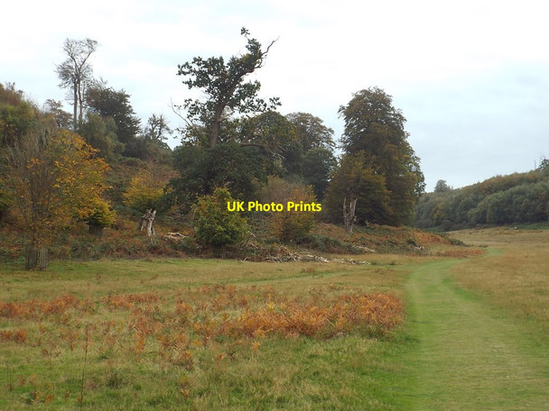 Photo 6"x4" Autumn in Knole Park, near Sevenoaks Sevenoaks c2018