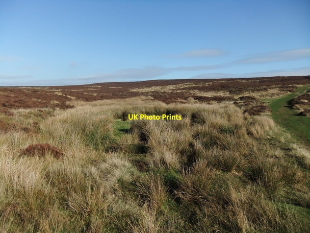 Photo 6"x4" Seavy Pond dried up Levisham c2018