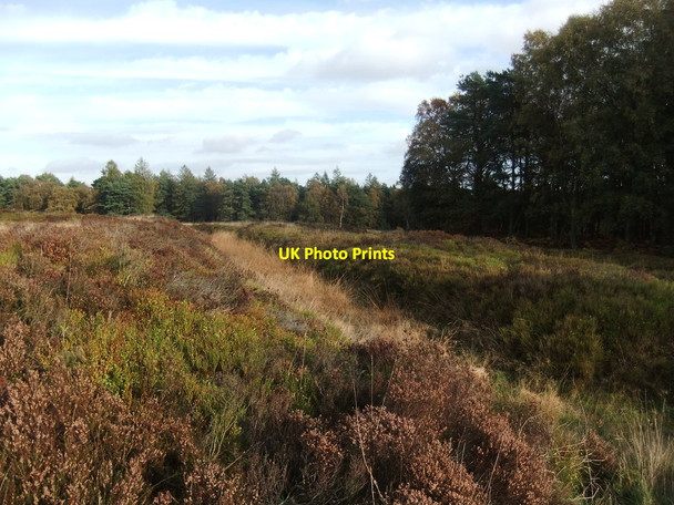 Photo 6"x4" Cawthorne Roman Camp Cawthorne\/SE7789 c2018