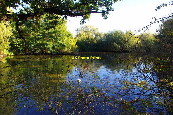 Photo 6"x4" Pond in Greensted Green Greensted Green c2018