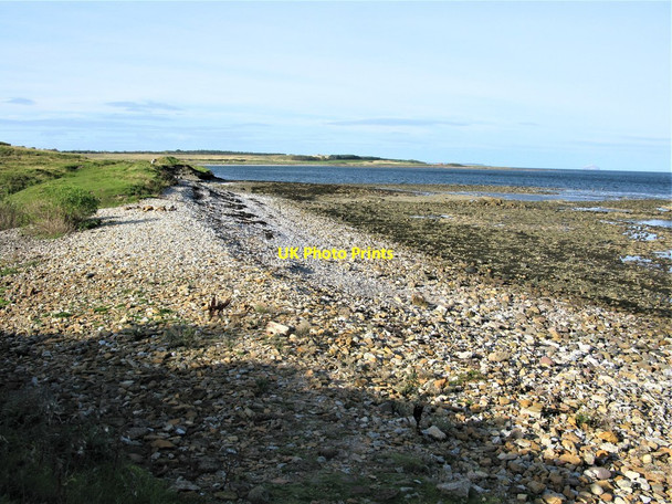 Photo 6"x4" Rocky Coast west of Barns Ness Lighthouse Broxburn\/NT6977 c2018