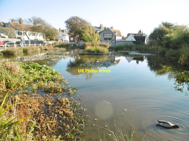 Photo 6"x4" Rottingdean, village pond Rottingdean c2018