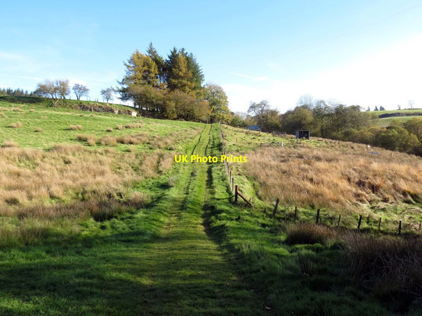 Photo 6"x4" Llwybr ceffyl Blaengefail \/ Blaengefail bridleway Tirabad c2018