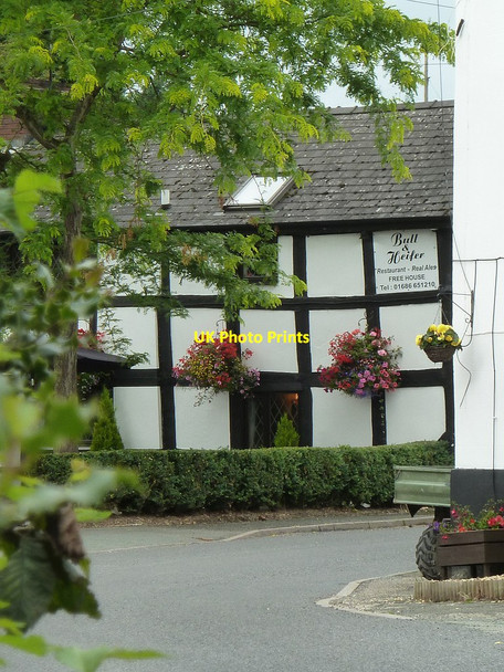 Photo 6"x4" The Bull & Heifer - Bettws Cedewain Bettws Cedewain c2017