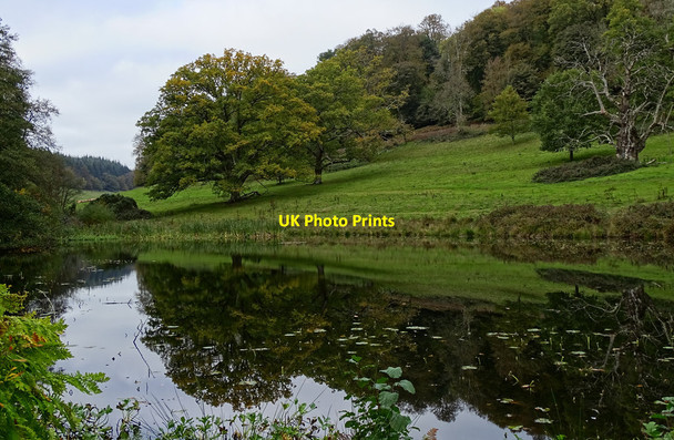 Photo 6"x4" Lily pond, Stourhead Stourton\/ST7734 c2018