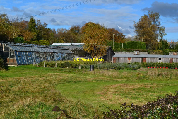 Photo 6"x4" Plant nursery at Goathurst Common Goathurst Common c2018