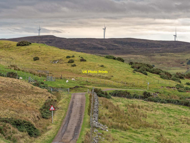 Photo 6"x4" Cattle Grid at Balcharn Balloan\/NC5905 c2018
