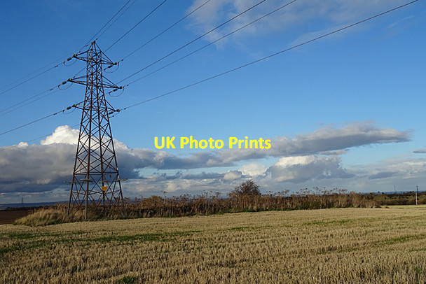Photo 6"x4" Pylon and Giant Hogweed Millerhill c2018