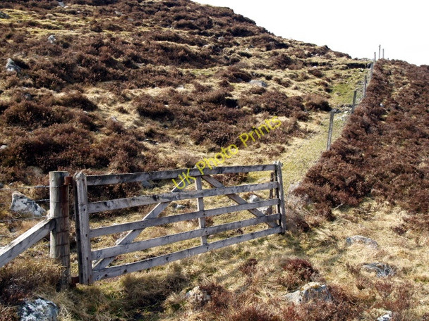 Photo 6"x4" Gate and Fence, Creag Meall an Domhnaich Catlodge c2009