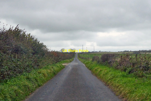 Photo 6"x4" Roman road towards Eggardon Hill West Compton\/SY5694 c2018