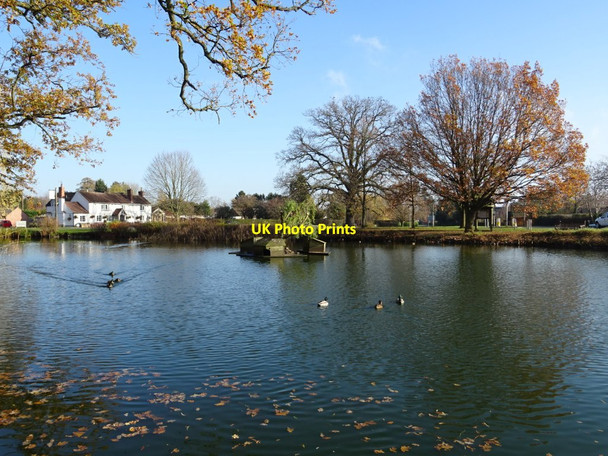 Photo 6"x4" Village pond in Hanley Swan Hanley Swan c2018