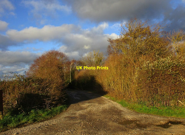 Photo 6"x4" The entrance to Manor Farm Lincoln c2018
