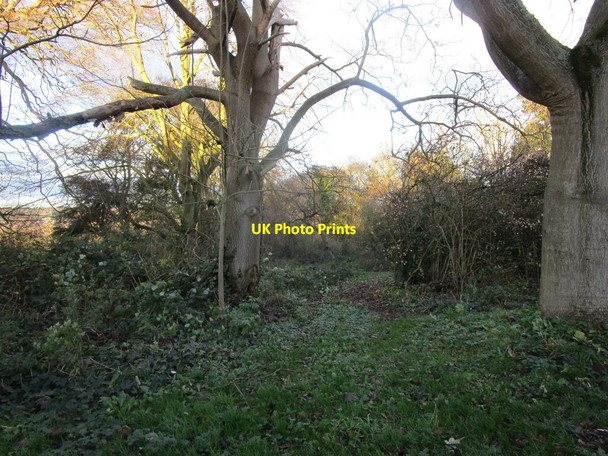 Photo 6"x4" Restricted byway to Washingborough Road Lincoln c2018
