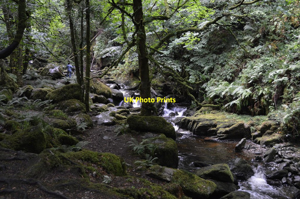 Photo 6"x4" Stream below Torc Waterfall Muckross c2018