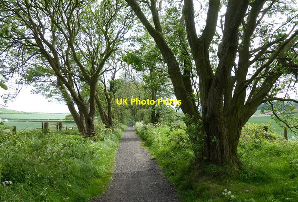 Photo 6"x4" The old Scarborough to Whitby railway line Burniston c2018