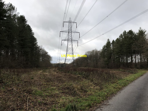 Photo 6"x4" Pylons in the gap Lodsworth Common c2018