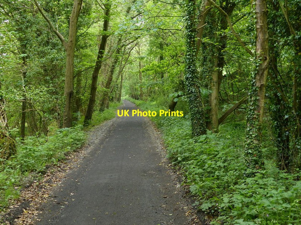 Photo 6"x4" Cinder Track at Newlands Dale Cloughton Newlands c2018