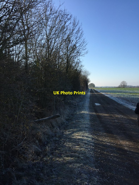 Photo 6"x4" Bridleway towards Hatley Hatley St George c2019