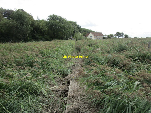 Photo 6"x4" Remains of the old pier at Old Passage Old Passage c2018