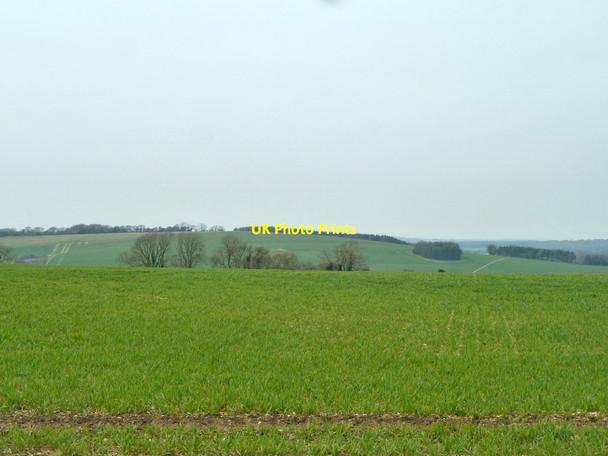 Photo 6"x4" Country west of Hinton Manor Lane Horndean\/SU7013 c2014