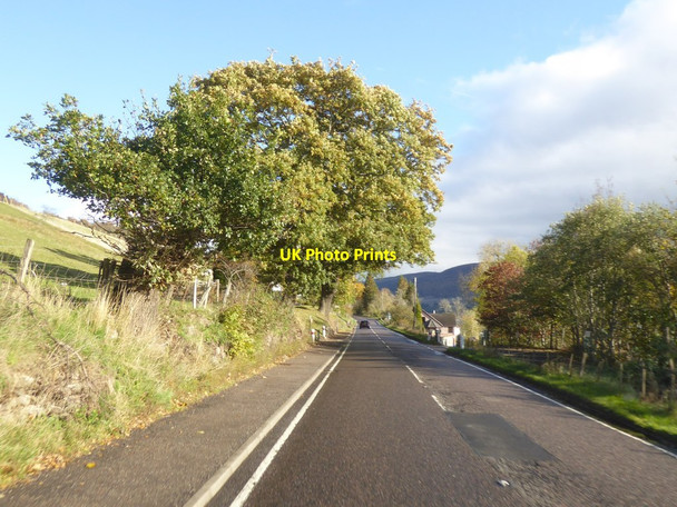 Photo 6"x4" Trees by the A82 at Temple Pier Strone\/NH5228 c2018
