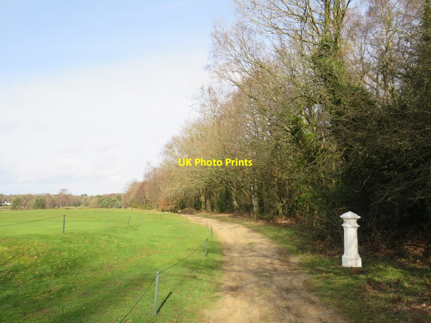 Photo 6"x4" Coal tax post on Banstead Heath Walton on the Hill c2019