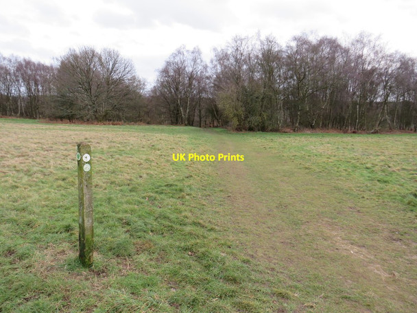 Photo 6"x4" Bridleway marker on Banstead Heath Kingswood\/TQ2456 c2019