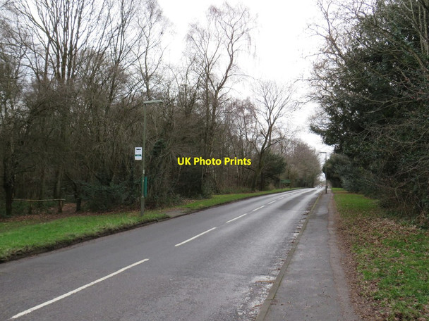 Photo 6"x4" Mere Road, near Tadworth Kingswood\/TQ2456 c2019