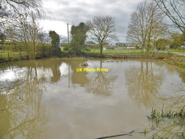 Photo 6"x4" West Ilsley, pond West Ilsley c2019
