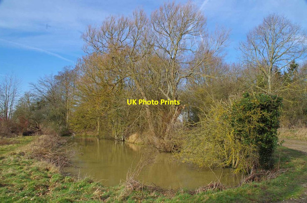 Photo 6"x4" Pond By The Ruined Shelter Headcorn c2019