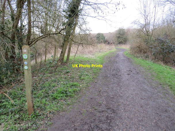 Photo 6"x4" London LOOP, Old Malden New Malden c2019