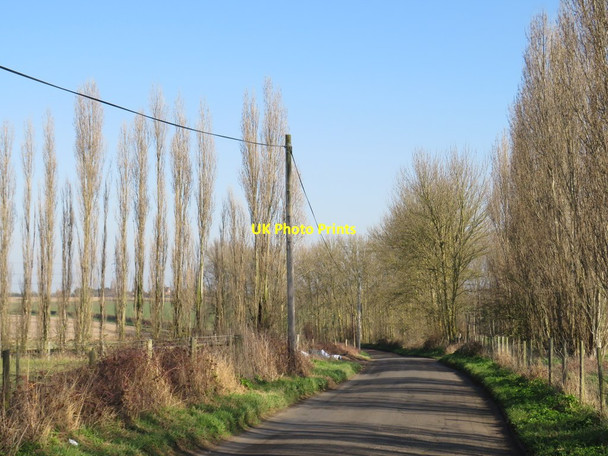 Photo 6"x4" Buckland Road, near Higham Cliffe Woods c2019