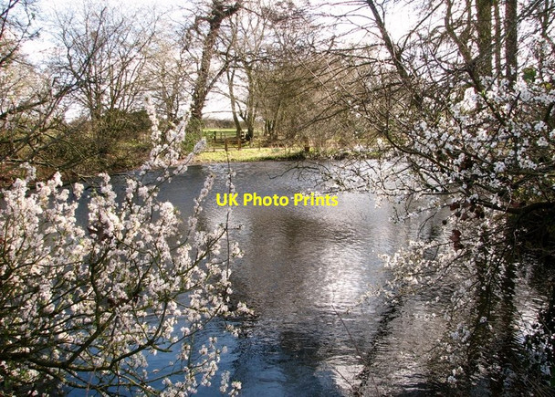 Photo 6"x4" Pond at Braydeston Hall Blofield c2019
