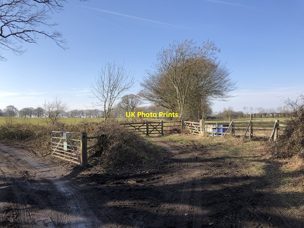 Photo 6"x4" Bridleway near Perryland Farm Lower Dicker c2019