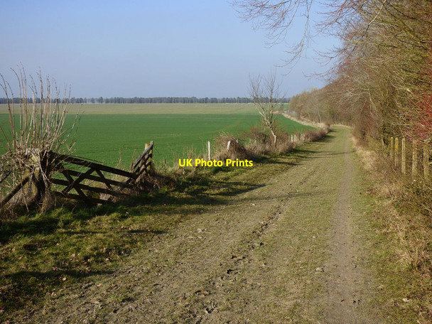Photo 6"x4" Farmland and bridleway, East Hendred East Ginge c2019