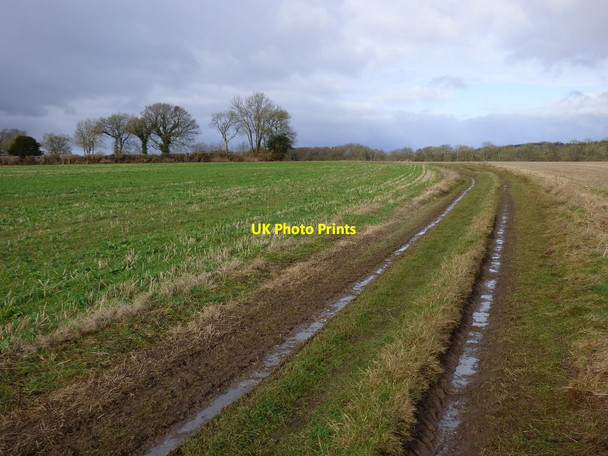 Photo 6"x4" Restricted byway, Hurstbourne Tarrant Hurstbourne Tarrant c2017