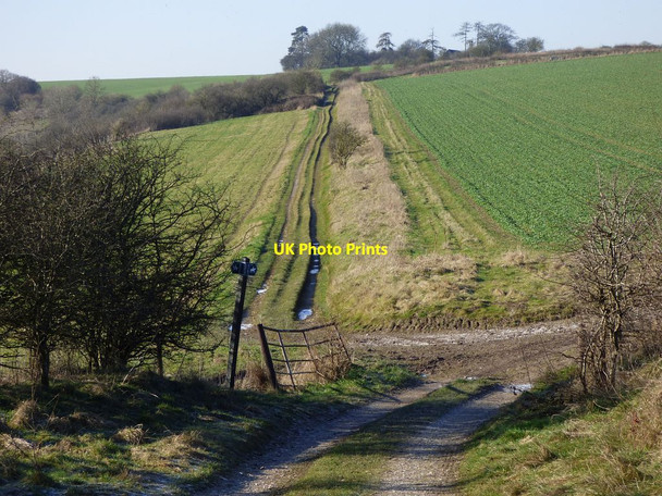 Photo 6"x4" Bridleway and farmland, Fosbury Fosbury\/SU3158 c2017