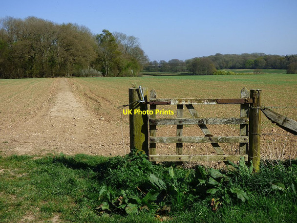 Photo 6"x4" Bridleway across farmland, Baydon Baydon c2017