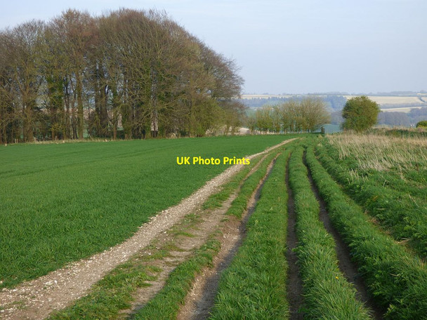Photo 6"x4" Byway, Aldbourne Aldbourne c2017