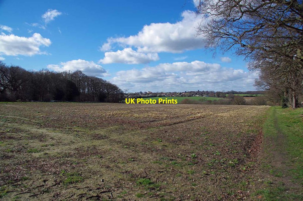 Photo 6"x4" Fallow Field Near Colchester Golf Club Colchester c2019