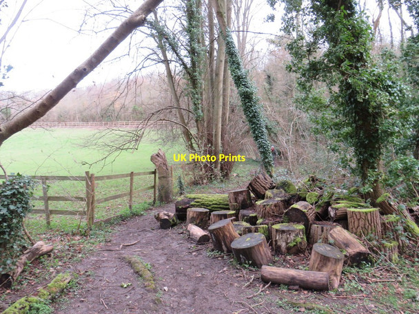Photo 6"x4" Path through woodland near Pratts Bottom Pratt's Bottom c2019