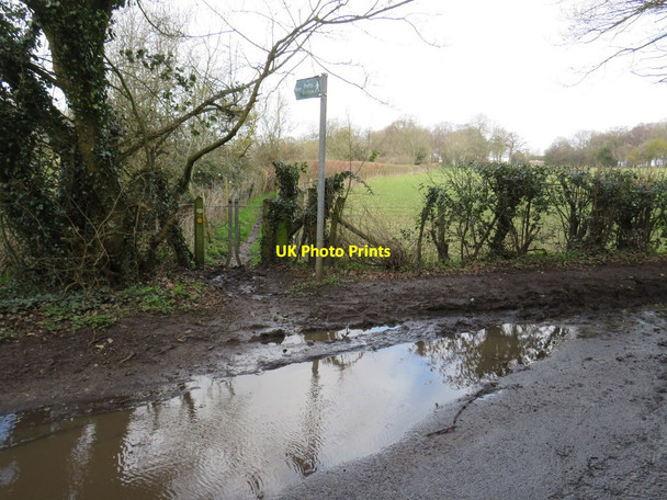 Photo 6"x4" Public footpath near Pratts Bottom Lett's Green c2019