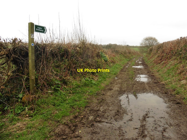 Photo 6"x4" Bridleway to Prixford Ashford\/SS5335 c2019