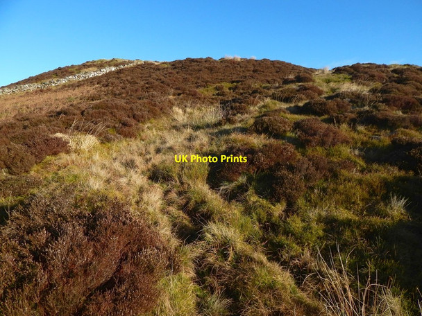 Photo 6"x4" Carman Hill: a hollow way west of the fort Alexandria c2019 P1