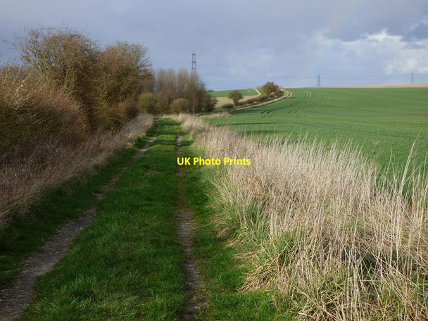Photo 6"x4" Byway and farmland, Grafton Brunton\/SU2456 c2019